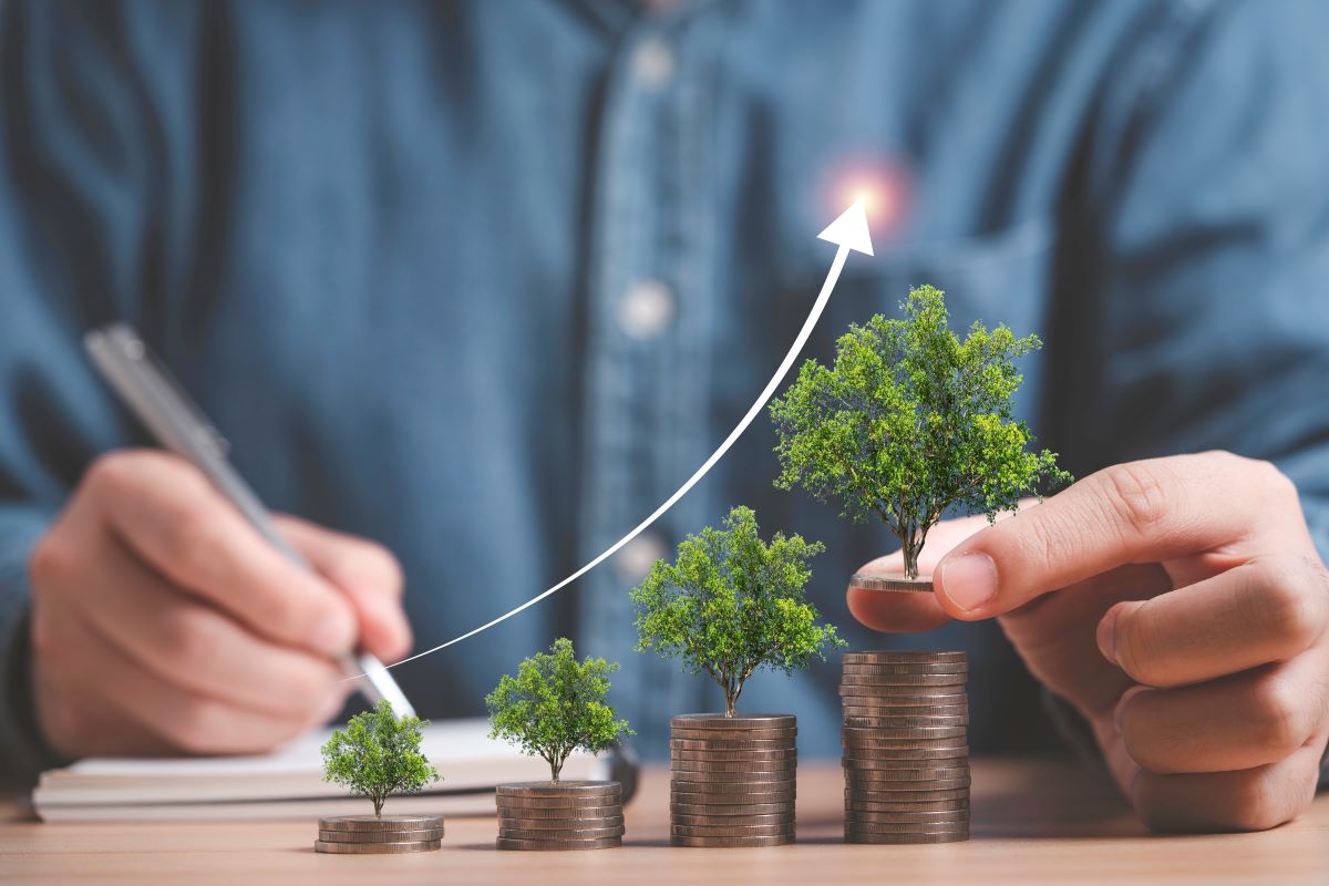 Money Management Advice