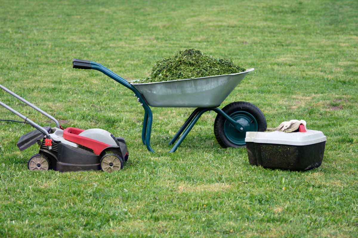 Easy Jobs For Teens